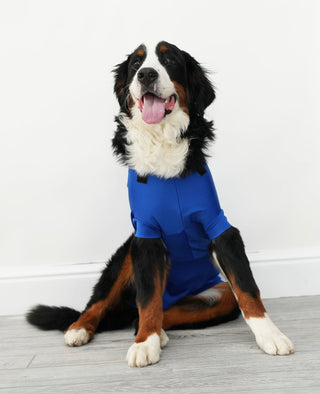 Male Neuter/Full Coverage Suit with Movable Potty Flap