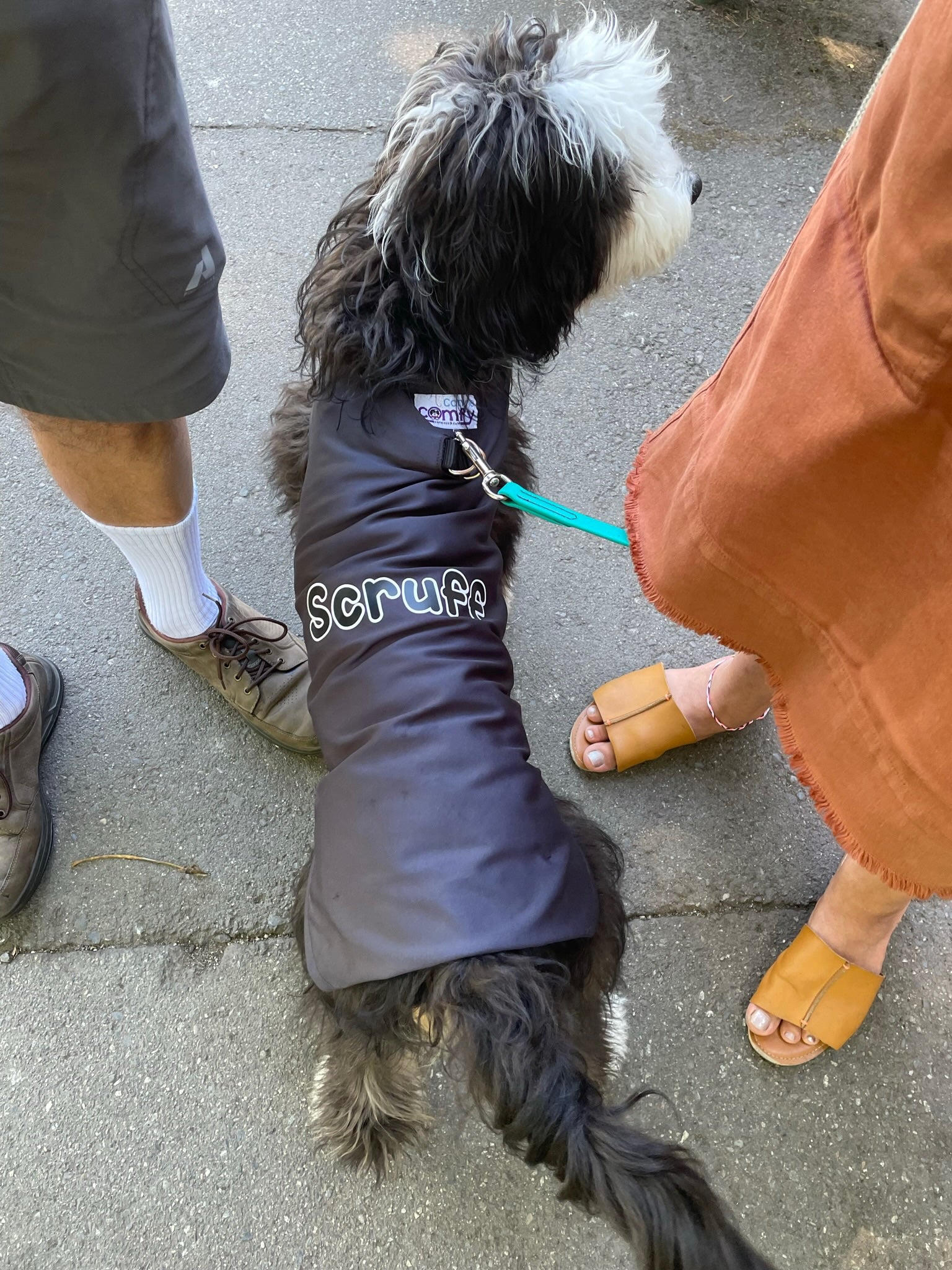 Grow with Me' Coat – Canine Comfy