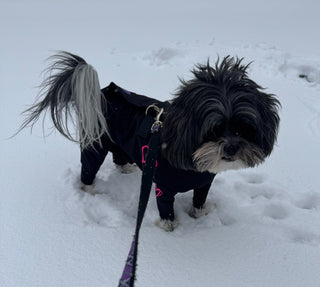 Water Resistant Fleece Lined Snow Suit