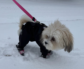 Water Resistant Fleece Lined Snow Suit